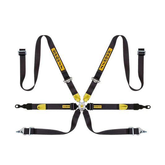 Sabelt Porsche GT3 GT2 Harness