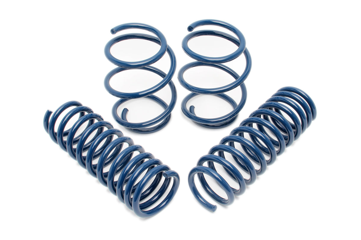 Dinan 96-99 BMW M3 (E36) Performance Spring Set