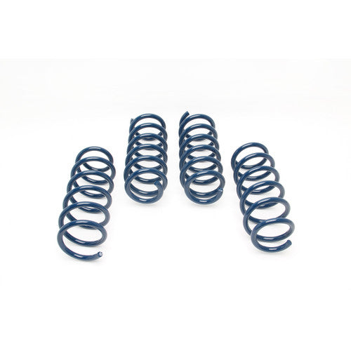 Dinan 18-23 BMW M550i xDrive (G30) Performance Spring Set