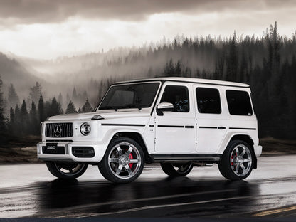 Volk Racing TE37GC - 23"